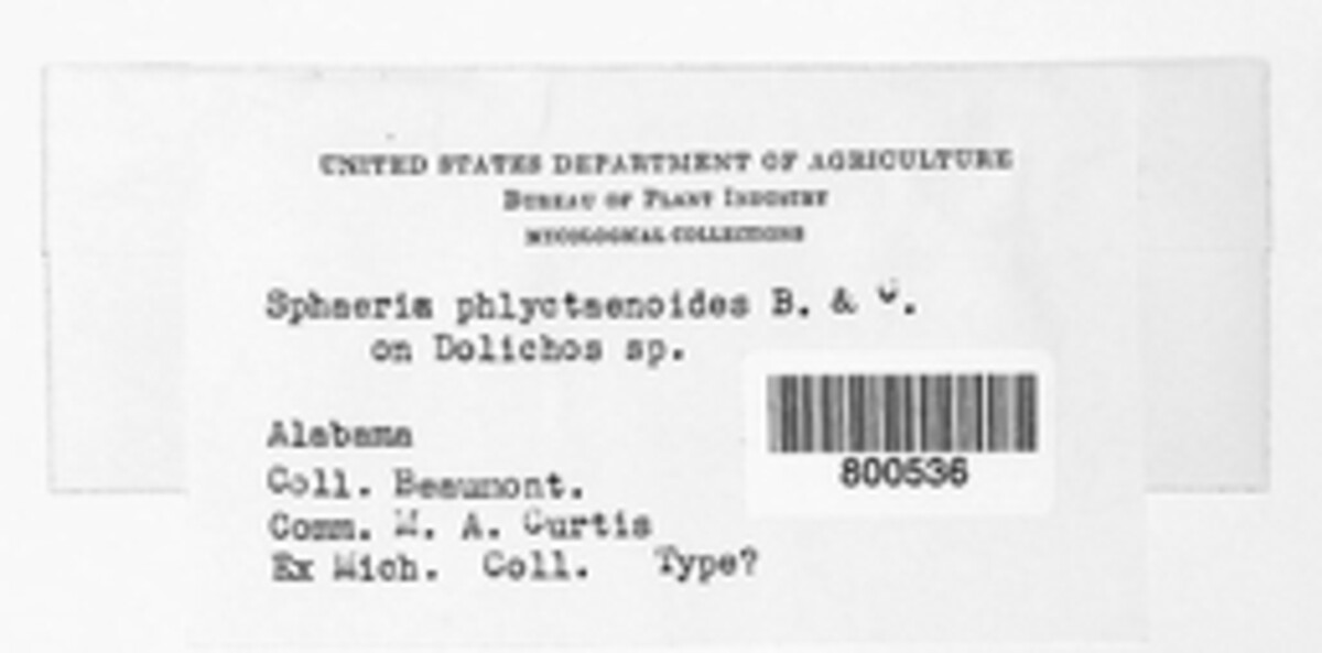 Sphaeria phlyctaenoides image